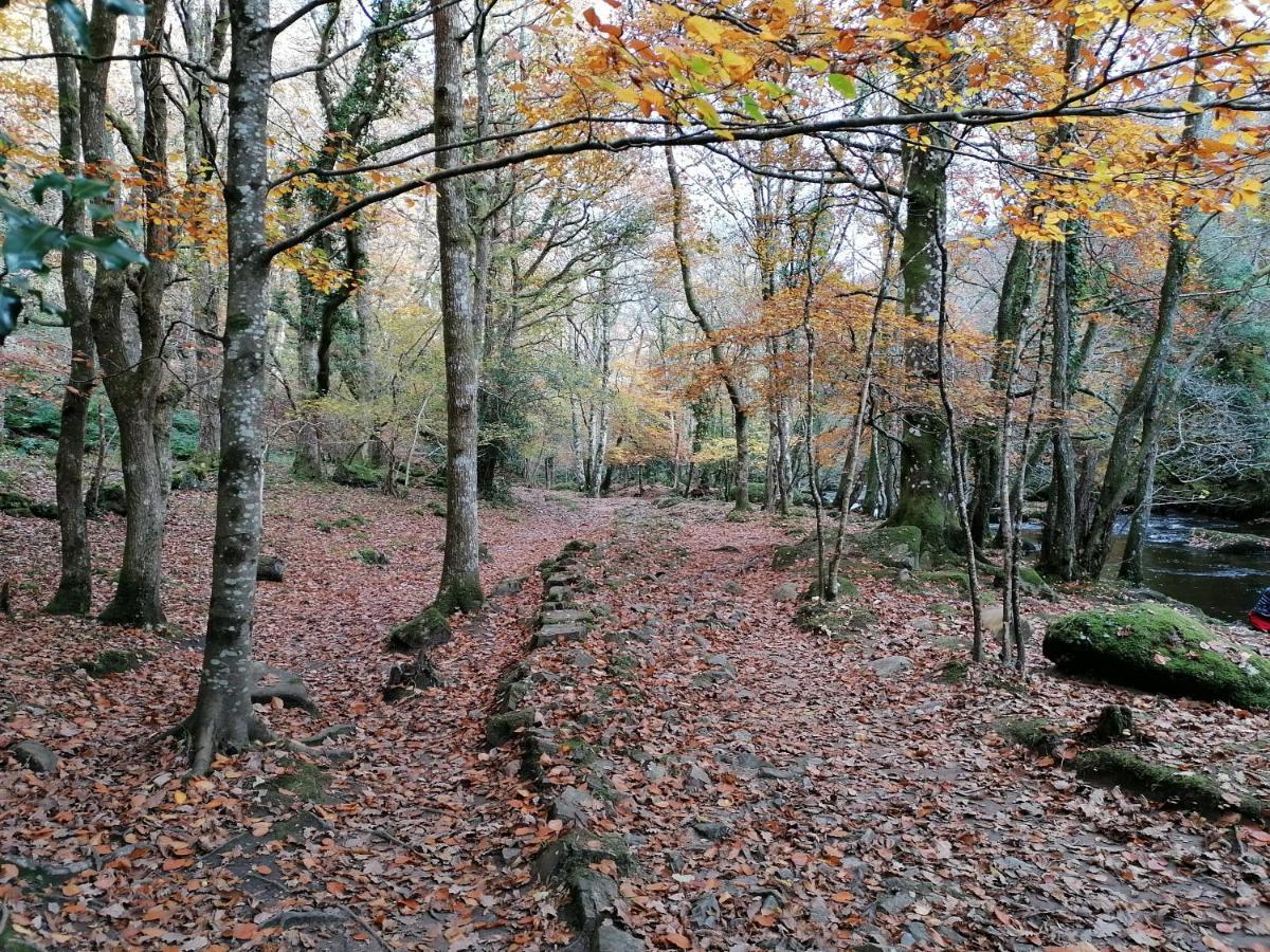 Lovaton Okehampton