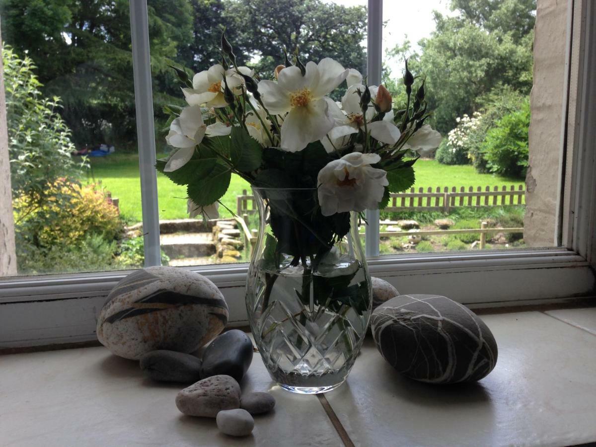 Bed & Breakfast Lovaton Okehampton