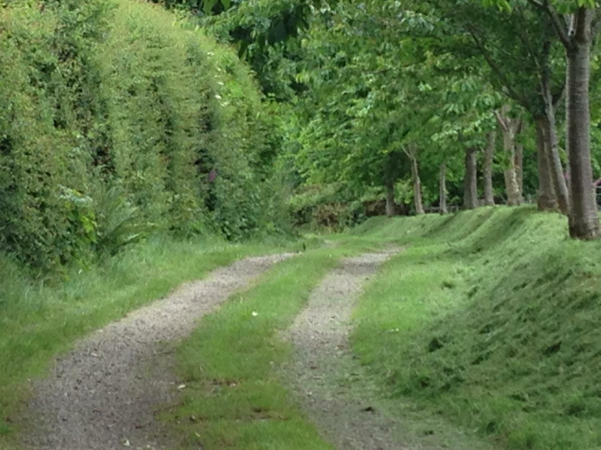 Lovaton Okehampton
