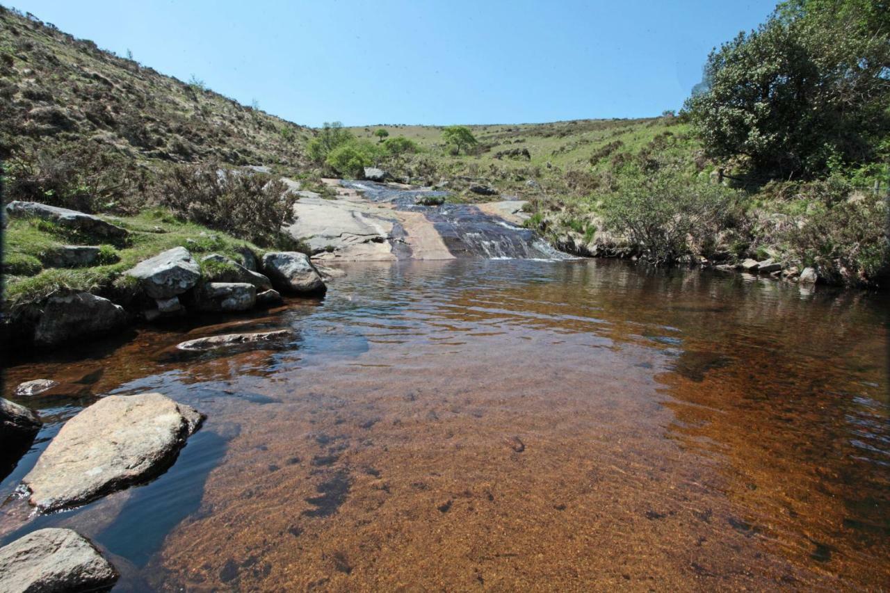 Lovaton Okehampton