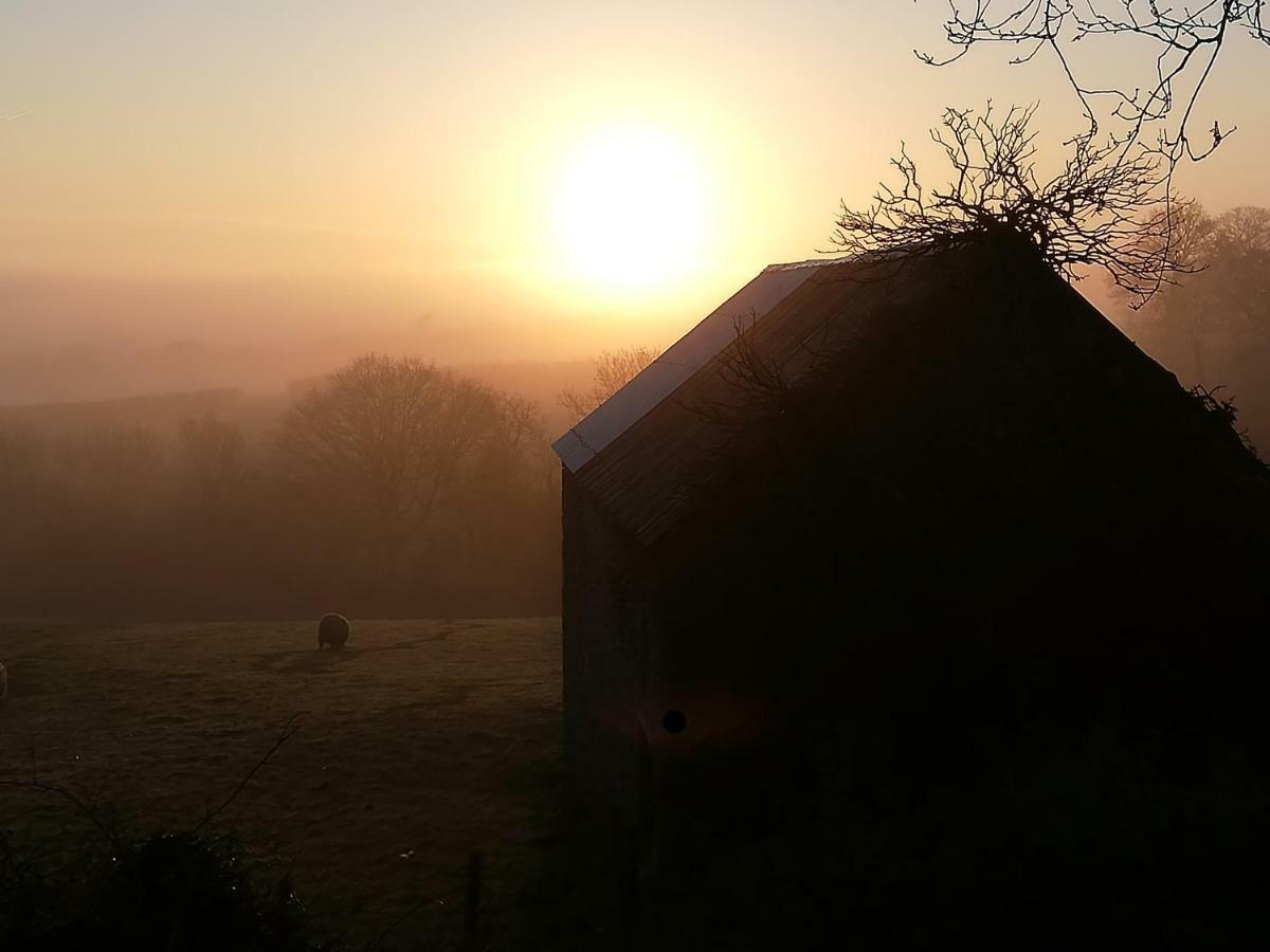 Bed & Breakfast Lovaton Okehampton